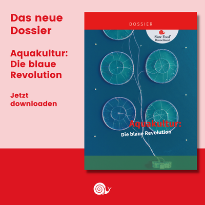 Aquakultur: Die blaue Revolution