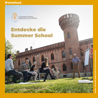 Besucht die Summer School!