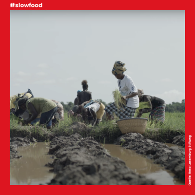 Die Eroberung der afrikanischen Landwirtschaft durch Konzerne