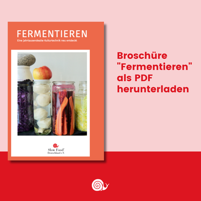 Fermentieren Broschüre