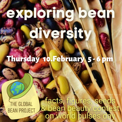 GLOBAL BEAN – BEANS DIVERSITY