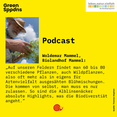 Green Spoons Podcast: Die bewegte Geschichte der Alblinse