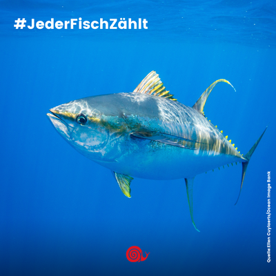 Jeder Fisch zählt