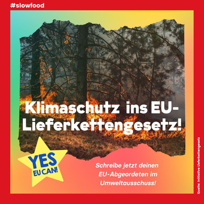 Jetzt mitmachen: EU-Lieferkettengesetz