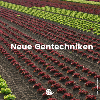 Neue Gentechniken - Informationen