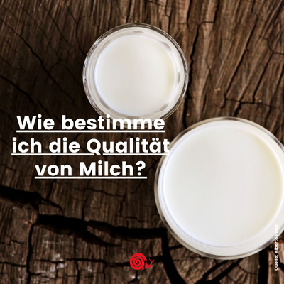 Slowpedia: Milch