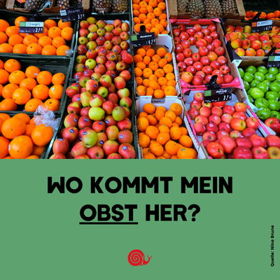 Slowpedia: Obst