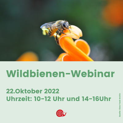 Wildbienen-Webinar