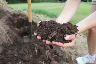 Neues Bildungsprojekt von Slow Food startet: Green Spoons – Löffel für Löffel biologische Vielfalt stärken Neues Bildungsprojekt von Slow Food startet: Green Spoons – Löffel für Löffel biologische Vielfalt stärken