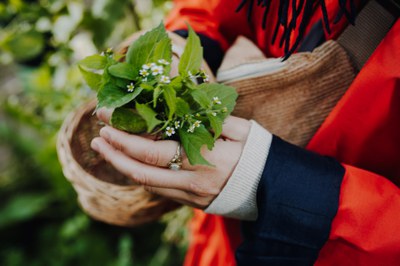 Sommer Akademie und Slow Food Youth Akademie 2025: Gemeinsam Ernährung weiterdenken Sommer Akademie und Slow Food Youth Akademie 2025: Gemeinsam Ernährung weiterdenken