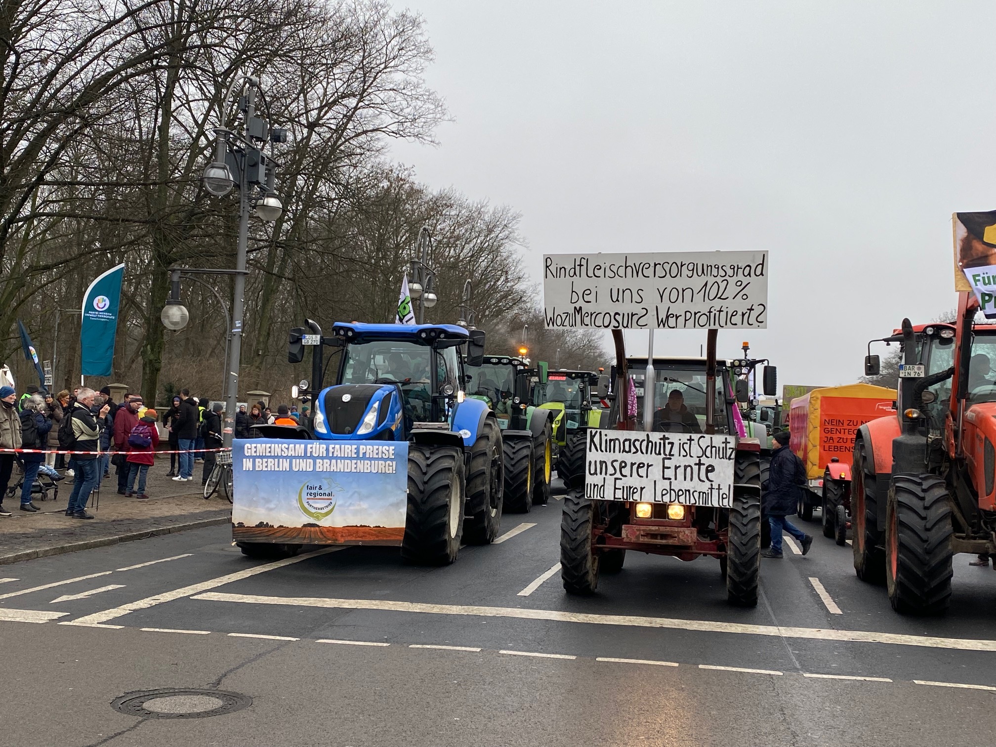 WHES 2026 Mercosur (c) Sharon Sheets.jpg