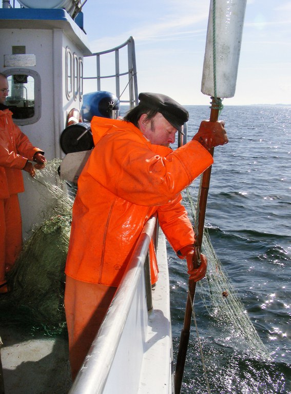 910.10.03_Fisch vom Kutter_(c) Uwe Sturm.jpg