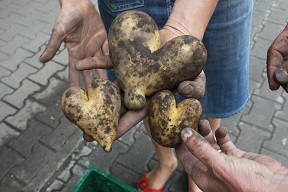 presse-2012.08_20_tst_muenchen_katharina_heuberger_-_kopie.jpg