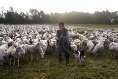 Slow Food Projekte zur Biologischen Vielfalt