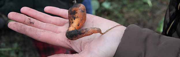 Slow Food Deutschland: Ziele, Zahlen und Tätigkeitsfelder auf einen Blick