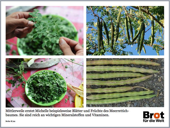 25_jahre_slow_food_deutschland-1_kirchentag_brot_fuer_die_welt_moringa_ppp_8_593.jpg