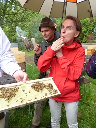 25_jahre_slow_food_deutschland-sfd_wurzeltour_kostprobe_vom_bienenstock_c_rose_schweizer_slow_food_web.jpg