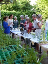 25_jahre_slow_food_deutschland-sfd_schulgartentag_karlsruhe_c_rose_schweizer_web_7.jpg 25_jahre_slow_food_deutschland-sfd_schulgartentag_karlsruhe_c_rose_schweizer_web_7.jpg
