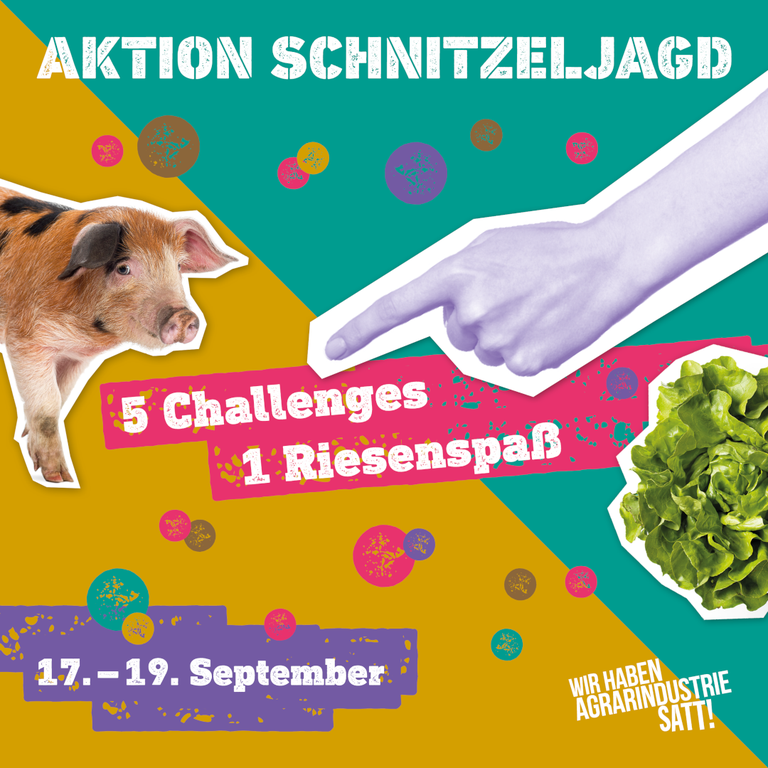 Aktion Schnitzeljagd_Ankündigung_Gesamtaktion_1080x1080px (c) WHES.png