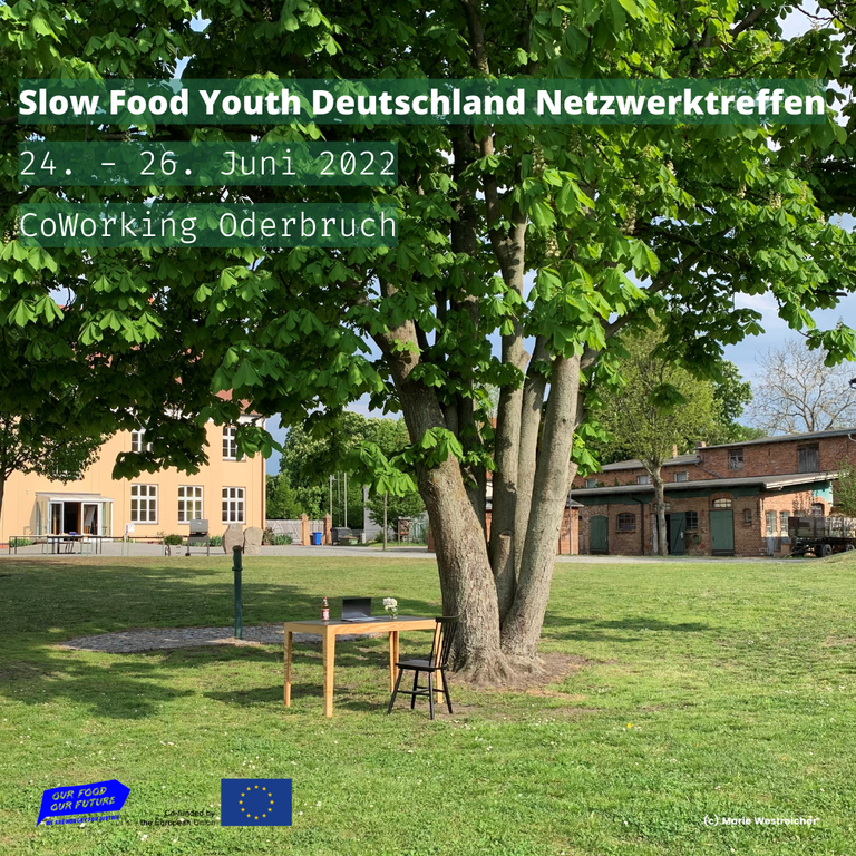Netzwerktreffen (c) Slow Food Youth Deutschland.png
