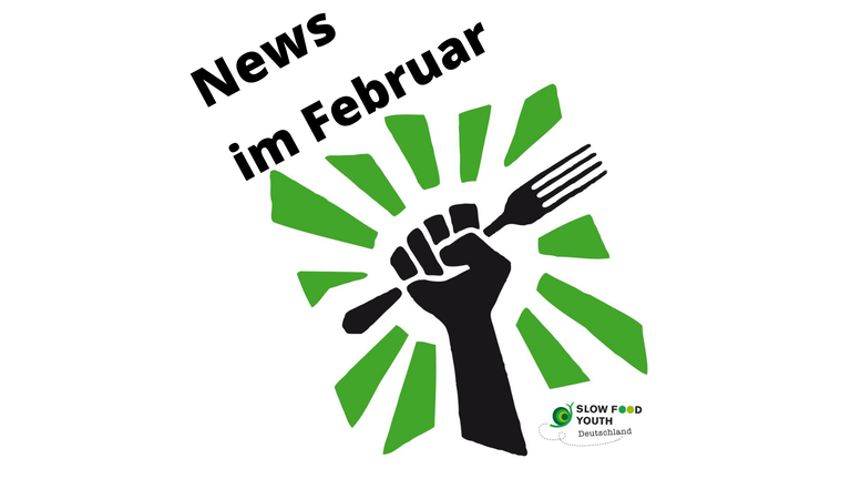 SFY NL Banner Februar.png