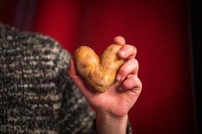 News aus dem Netzwerk: Februar 2020 News aus dem Netzwerk: Februar 2020