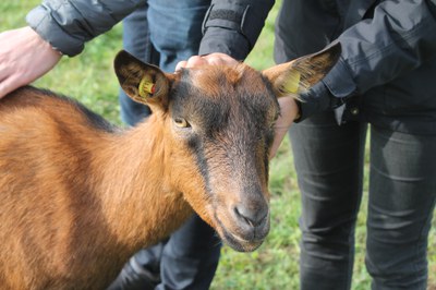 (c) Leonie Barghorn_Landolfshausen.jpg (c) Leonie Barghorn_Landolfshausen.jpg