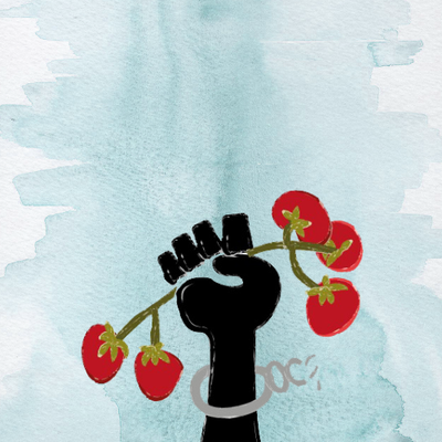 Audiofeature "Rot wie Blut: Der bittere Beigeschmack italienischer Tomaten" Audiofeature "Rot wie Blut: Der bittere Beigeschmack italienischer Tomaten"