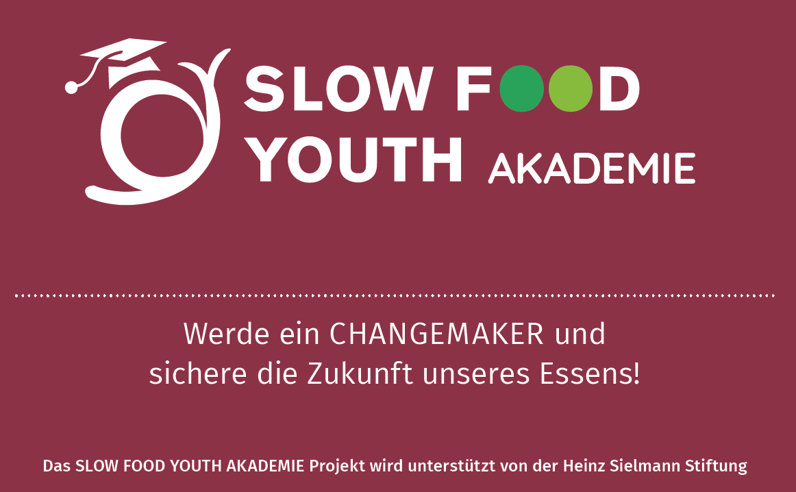Cover SFY-Akademie.png